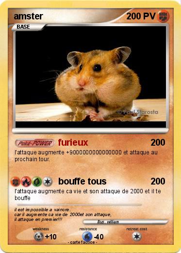 Pokemon amster