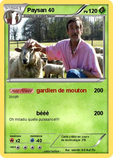 Pokemon Paysan 40