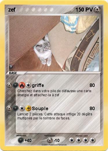 Pokemon zef