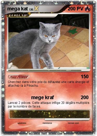 Pokemon mega kat