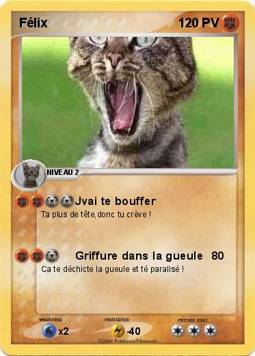 Pokemon Félix
