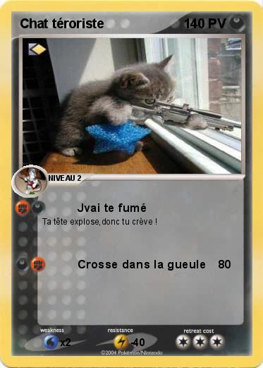 Pokemon Chat téroriste