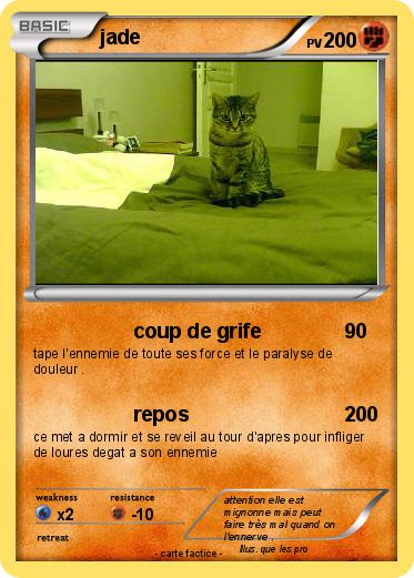 Pokemon jade