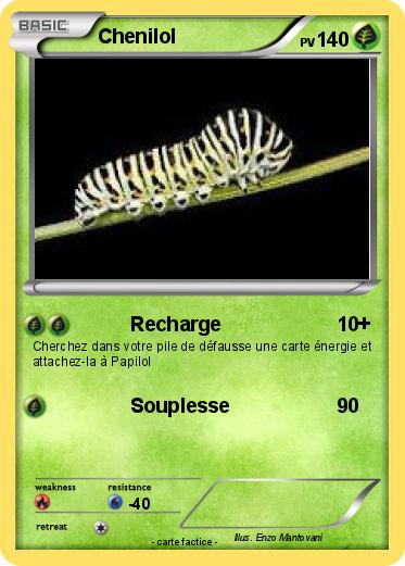 Pokemon Chenilol