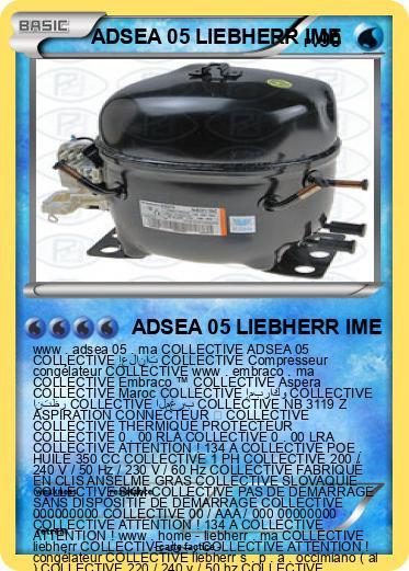 Pokemon ADSEA 05 LIEBHERR IME