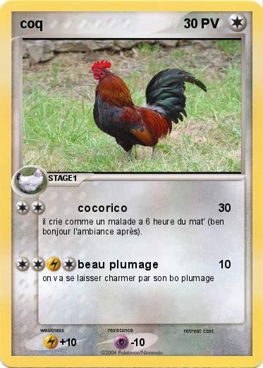 Pokemon coq