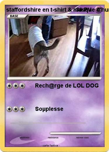 Pokemon staffordshire en t-shirt & masque d'humain