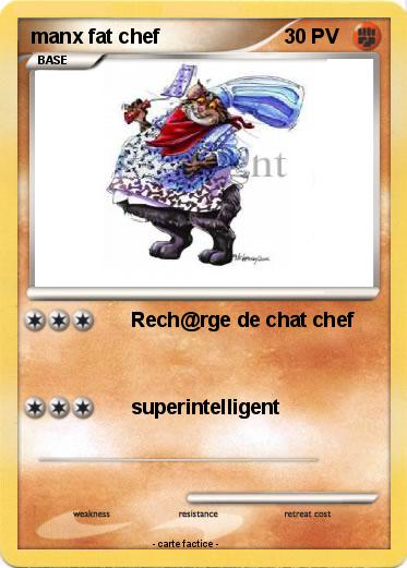 Pokemon manx fat chef