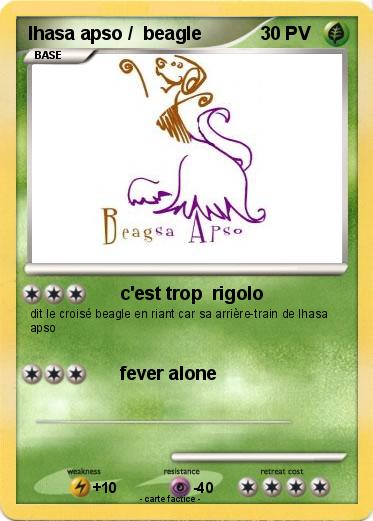 Pokemon lhasa apso /  beagle