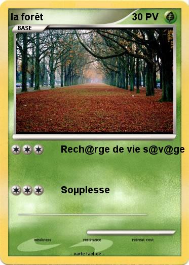 Pokemon la forêt