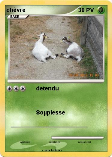 Pokemon chèvre