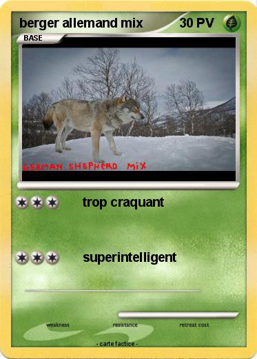 Pokemon berger allemand mix