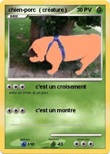 Pokemon chien-porc  ( créature )
