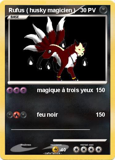 Pokemon Rufus ( husky magicien )