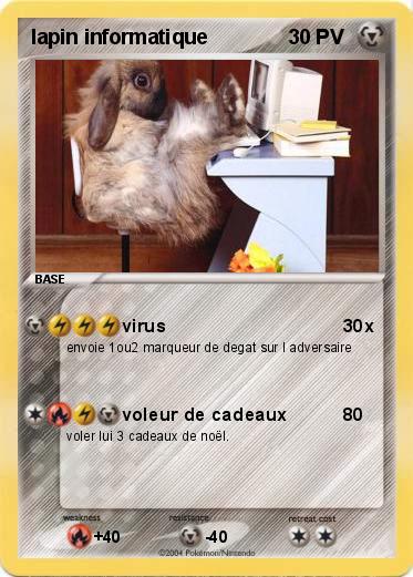 Pokemon lapin informatique 
