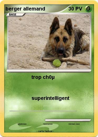 Pokemon berger allemand