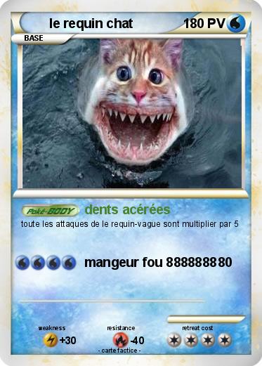 Pokemon le requin chat