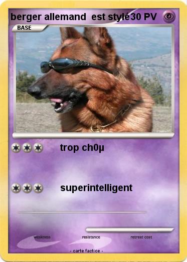 Pokemon berger allemand  est stylé