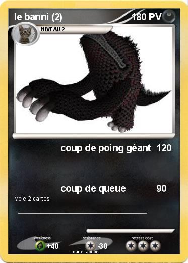 Pokemon le banni (2)