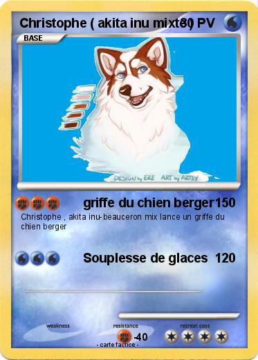Pokemon Christophe ( akita inu mixte )