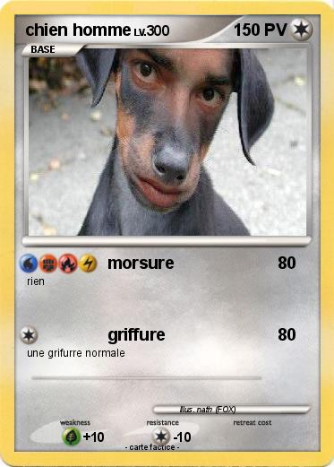 Pokemon Chien Homme