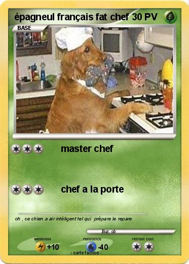 Pokemon épagneul français fat chef