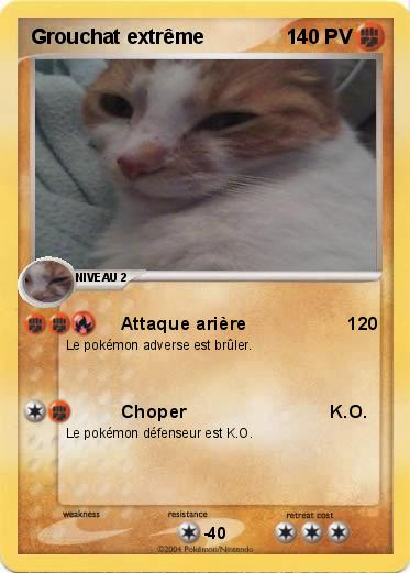Pokemon Grouchat extrême