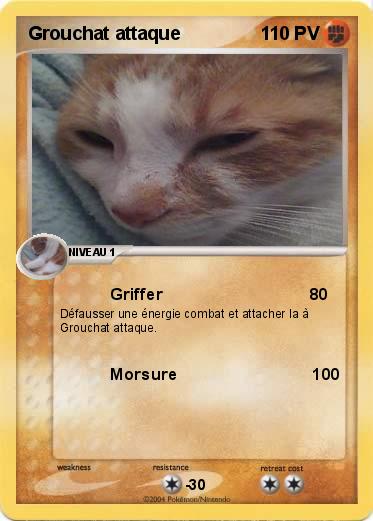 Pokemon Grouchat attaque