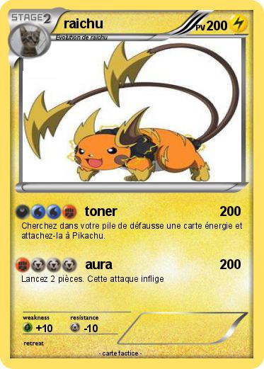 Pokemon raichu