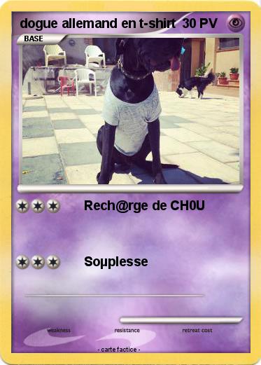 Pokemon dogue allemand en t-shirt