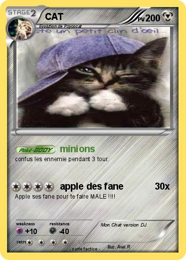 Pokemon CAT