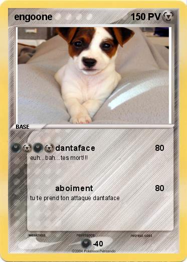 Pokemon engoone