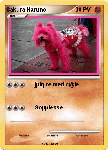 Pokemon Sakura Haruno