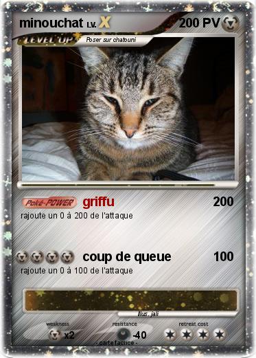 Pokemon minouchat