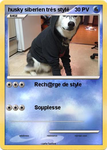 Pokemon husky siberien très stylé