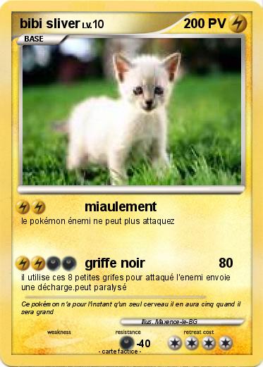 Pokemon bibi sliver