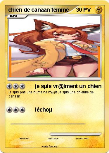 Pokemon chien de canaan femme