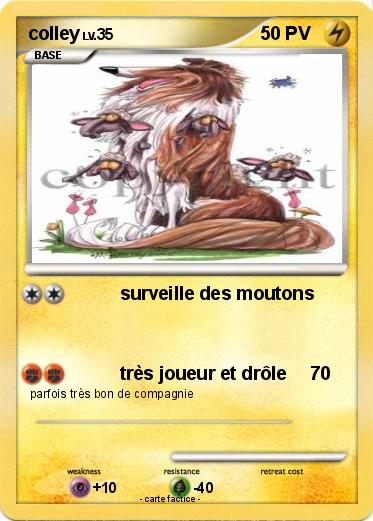 Pokemon colley