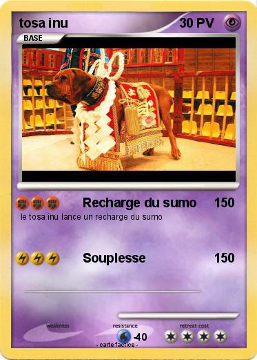 Pokemon tosa inu