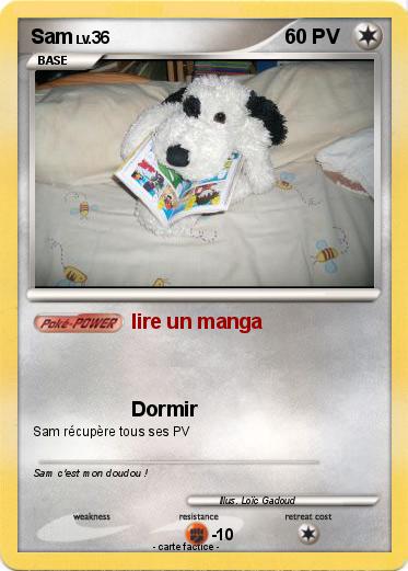 Pokemon Sam