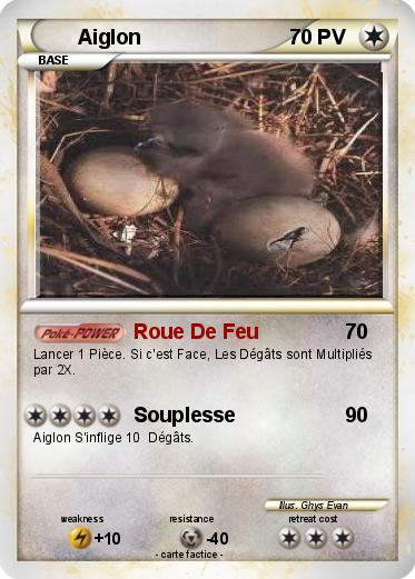 Pokemon Aiglon