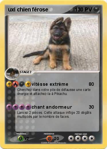 Pokemon uxi chien férose
