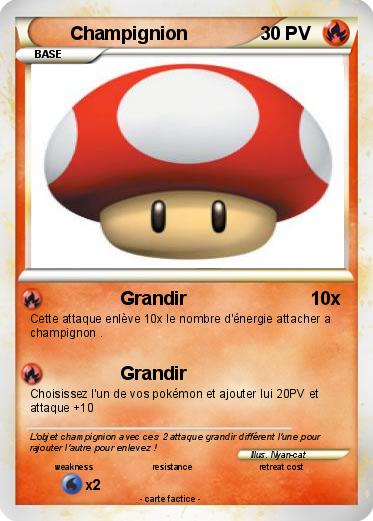 Pokemon Champignion