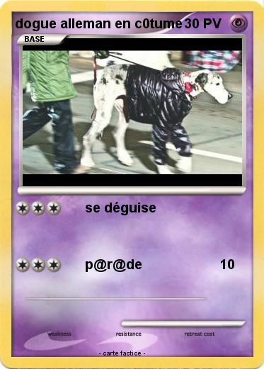 Pokemon dogue alleman en c0tume