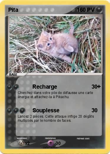 Pokemon Pita