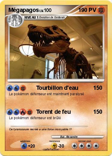 Pokemon Mégapagos