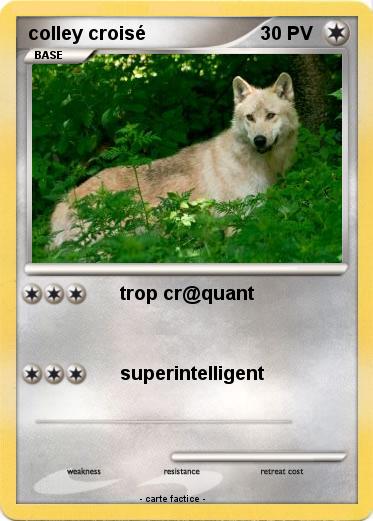 Pokemon colley croisé