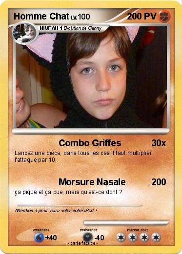 Pokemon Homme Chat