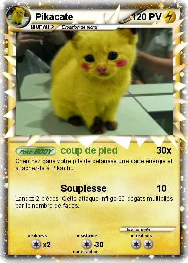 Pokemon Pikacate