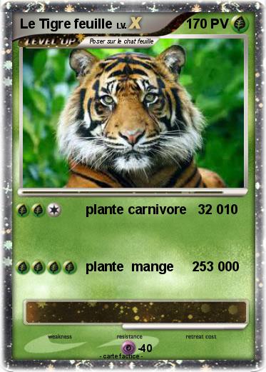 Pokemon Le Tigre feuille